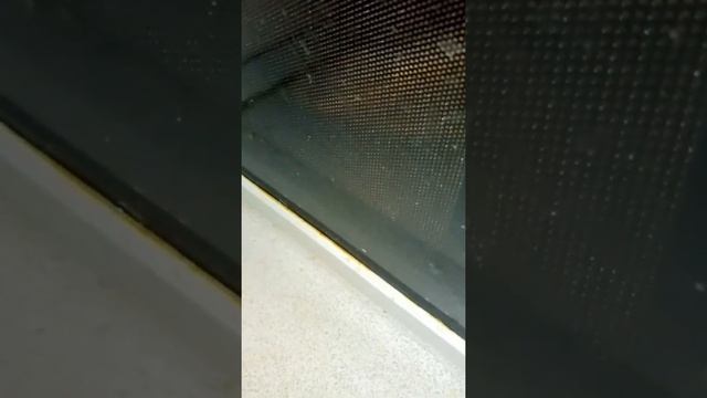 Шаурма из микроволновой печи! смотреть онлайн