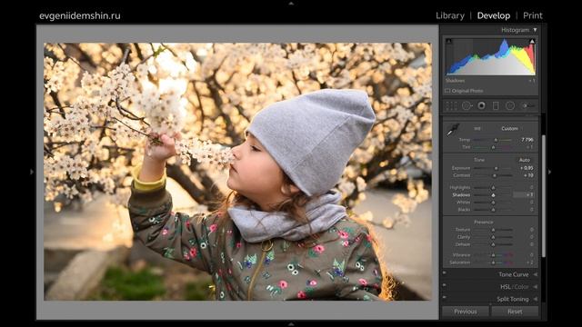 Исправление ошибок и базовая коррекция фотографий в Lightroom смотреть онлайн