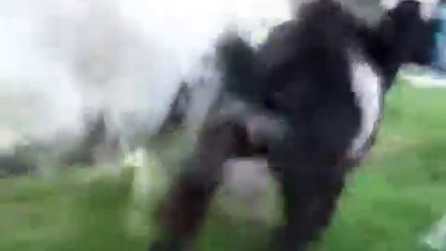 Колокольный звон)))) угар 10000%