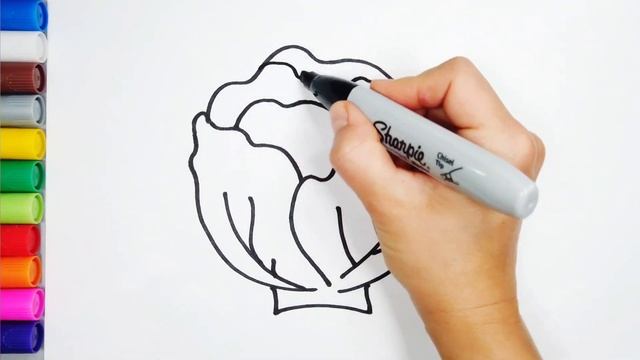 How to Draw Cabbage Easy for Kids - Learning Vegetables / Как Просто Нарисовать Капусту смотреть онлайн