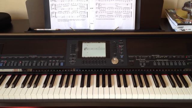 Yamaha Clavinova CVP 505 - Play along with Guide Mode смотреть онлайн