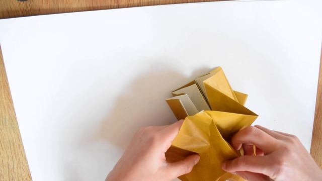 Origami - Octopus Pieuvre タコ (Satoshi Kamiya)