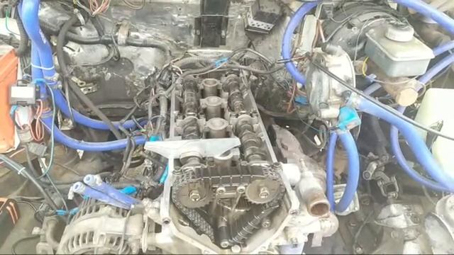 Грибы и путешествия в глубину