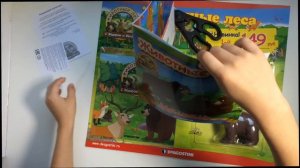 ЖИВОТНЫЕ ЛЕСА № 1, DeAgostini ДеАгостини (2016) ВЫПУСК 1 - Обзор