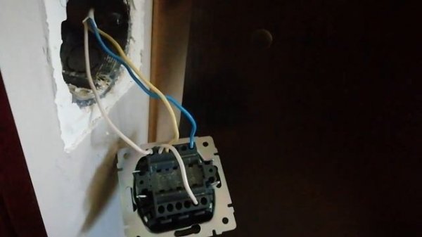 Как подключить двухклавишный выключатель WERKEL