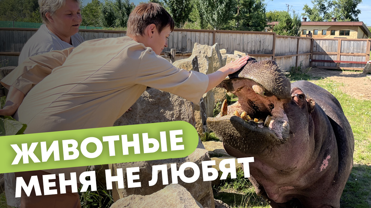 Ветеринар Казанского зооботсада. Почему животные ее не любят? смотреть онлайн