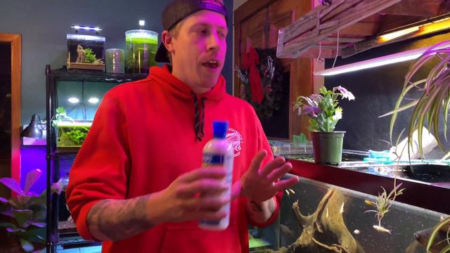 How to Use API Quick Start for Fishless Cycle смотреть онлайн