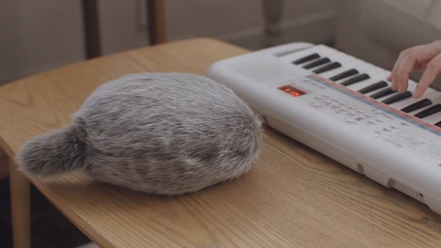 Petit Qoobo | A petit tailed cushion that heals your heart. смотреть онлайн