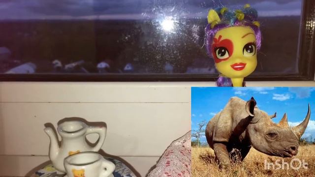 💫Юхууу|Зачем носорогу рог ??🌚 смотреть онлайн