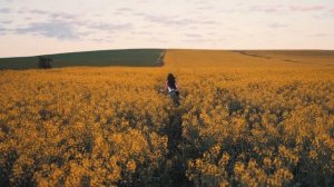 Девушка бежит по полю. ФУТАЖ / Girl running across the field. FOOTAGE