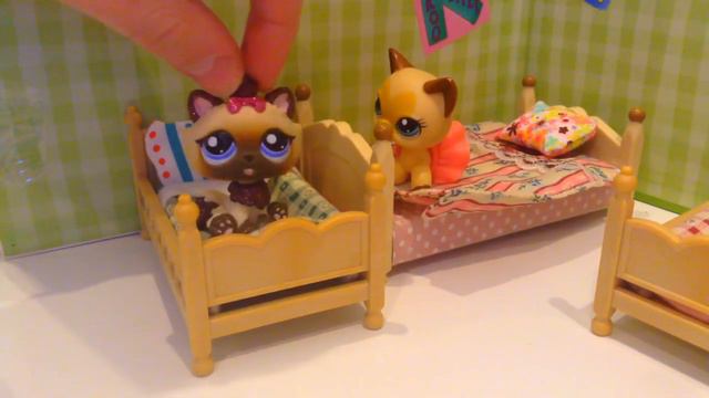 LPS сериал/"Что значит любовь...?"/2сезон 2серия/Отказ/ SOVA LPS смотреть онлайн