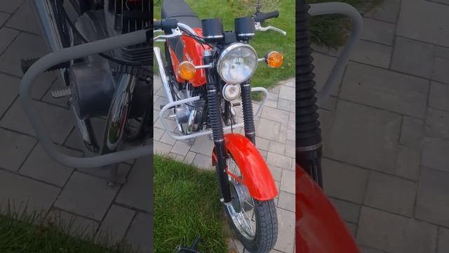 Ява и Гусь! смотреть онлайн