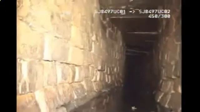 Жуткие существа Реальное видео Мурашки!!!