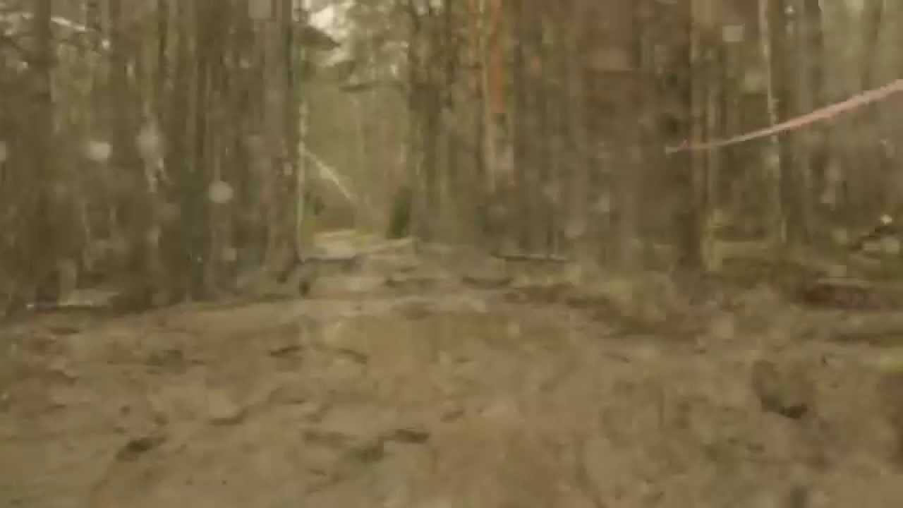 Подосинки. Так теряют номера. Лесная дорога. смотреть онлайн