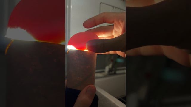 Просвечиваем яйца через 6 дней после закладки. смотреть онлайн