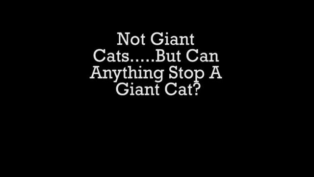 What will it cut? смотреть онлайн