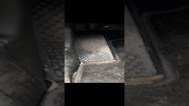 rutube.ru