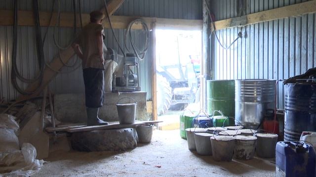 Мамадышский фермер разводит крупный рогатый скот голштинизированной породы смотреть онлайн