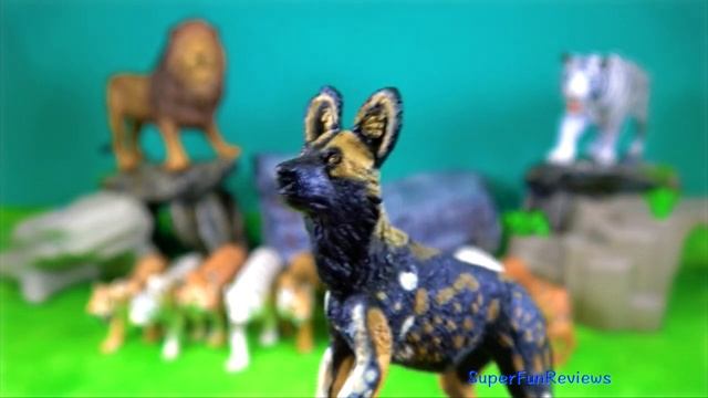 Big Cat Week 2020 - Lion, Tiger, Zebra, Red Fox, African Wild Dog - Zoo Animals 13+ смотреть онлайн