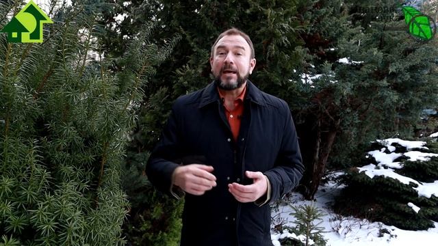 С 8 МАРТА, ДОРОГИЕ ЖЕНЩИНЫ! С праздником вас весны и женственности! смотреть онлайн