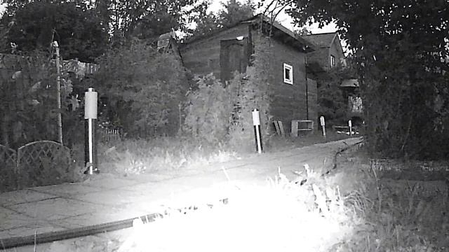 Что удалось снять на Фотоловушку с Алиэкспресс. смотреть онлайн