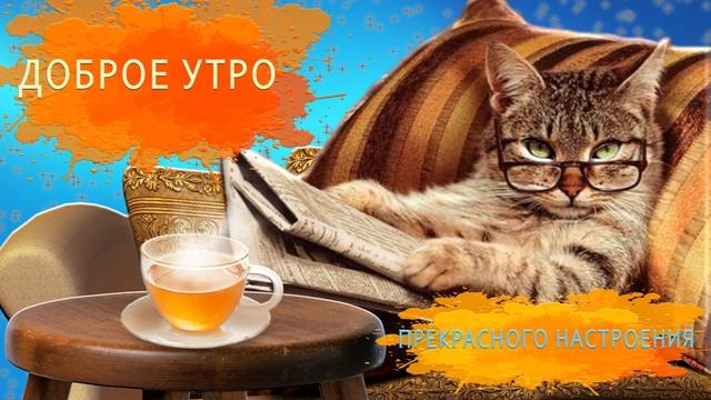 ☀️Доброе утро☀️ПРИКОЛЬНОЕ ПОЖЕЛАНИЕ для друзей☀️#доброеутро  #пожеланиедлядрузей