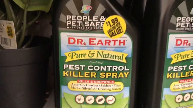 come SHOP 99 CENTS only STORE plant supply DOLLAR store shopping haul with MOODY BLOOMS смотреть онлайн