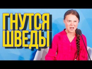 Швеция в НАТО: реванш за Полтаву? Анатолий Ливри