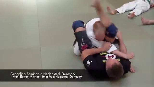 Grappling Seminar in Hedensted, Denmark смотреть онлайн