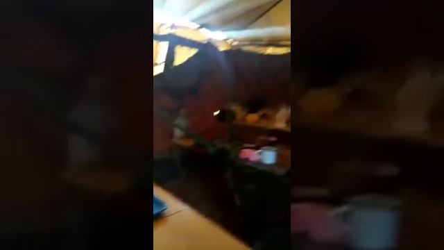 Кайфуем в цвет. смотреть онлайн
