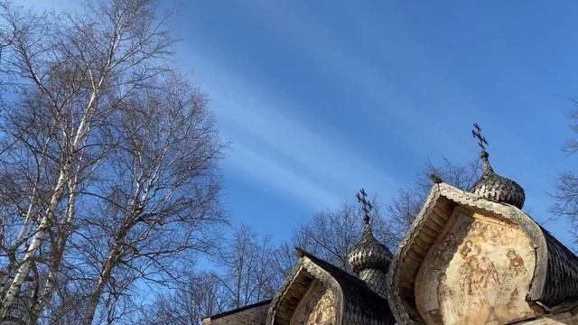 ТАИСИЯ. ВЕГАНСТВО / Депрессия / Вегетарианство. / питание. Личный опыт