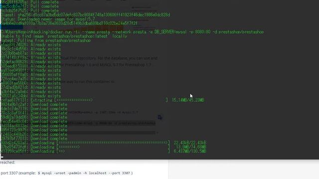 Instalación Prestashop en Docker смотреть онлайн