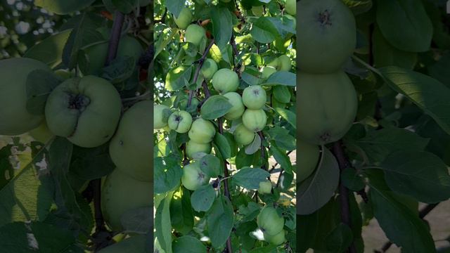 Лето- это классно