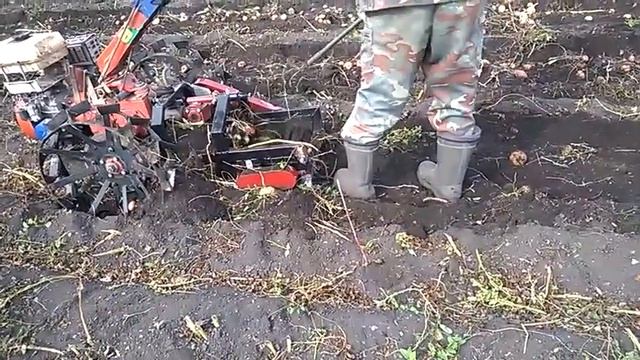 картофеле копалка кк-1б в работе! смотреть онлайн