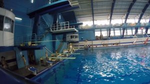 Соревнования по прыжкам в воду  Саратов 22,12,18