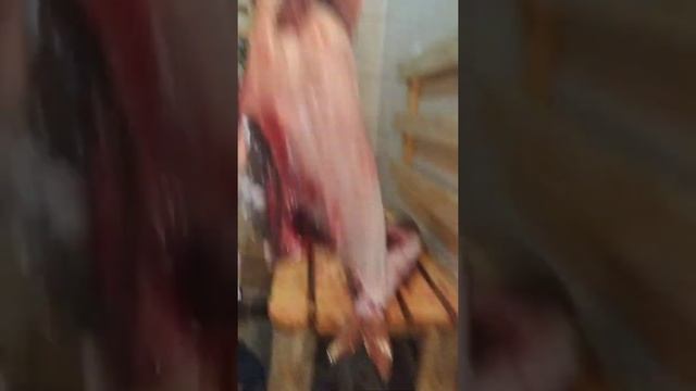 РОЗДЕЛКА ТОЛСТОЛОБА!!! смотреть онлайн