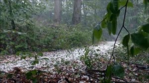 Вальс дождя Фредерик Шопен классическая музыка слушать онлайн. Красивая музыка для души.