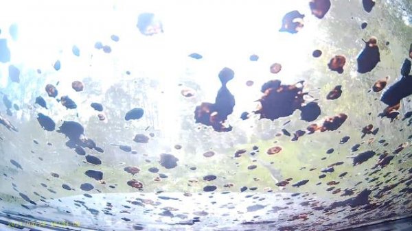 Offroad-поездка на вершину Пихтовый Гребень на внедорожниках Mitsubishi Pajero Sport