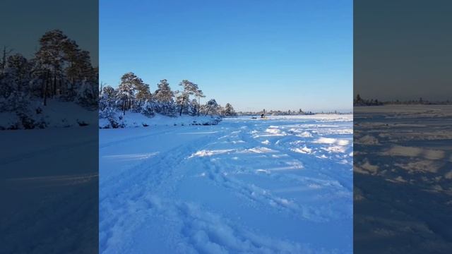 Малый Вильент 26.11.2016. смотреть онлайн