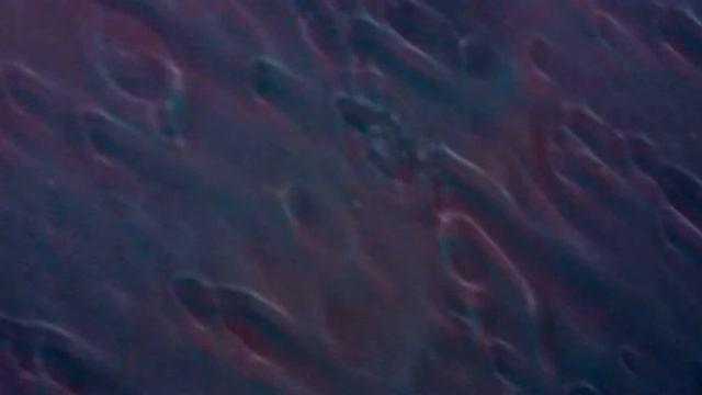 Prajñaparamita mantra смотреть онлайн