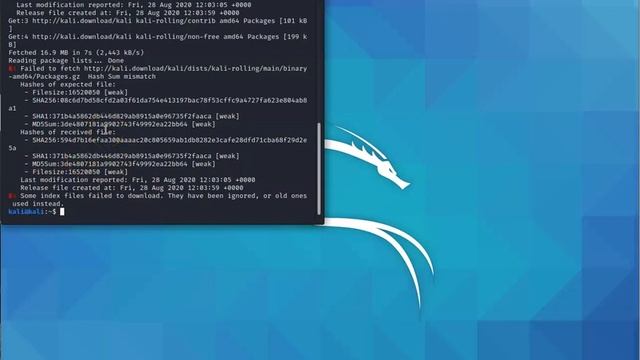 VirtualBox and Kali Setup смотреть онлайн