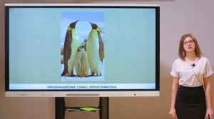 3 класс. Окружающий мир. Охрана животных