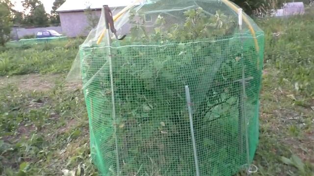 Суровое жаркое лето смотреть онлайн
