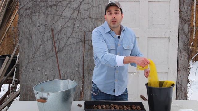 Growing Ranunculus And Anemones Part 1