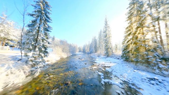 Видео с Максимальной яркостью Dolby Vision 12K HDR 120 кадров в секун Dolby Vision 12K HDR 120fps