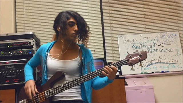 Despised Icon - Sheltered Reminiscence (Bass Cover) смотреть онлайн