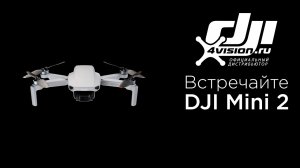 Встречайте - DJI Mini 2.mp4