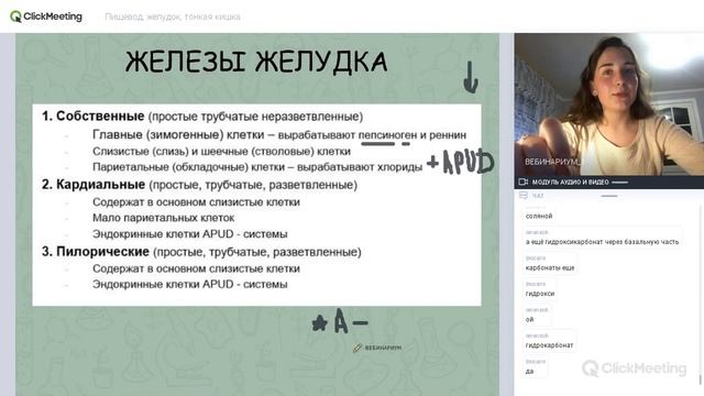 Гистология пищеварительной системы смотреть онлайн