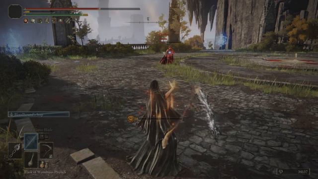 ELDEN RING SISTER FRIEDE VS MADNESS USER?!! смотреть онлайн