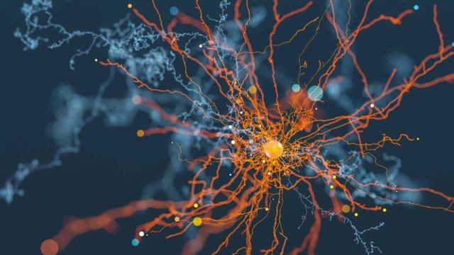 Программа для работы с подсознанием смотреть онлайн